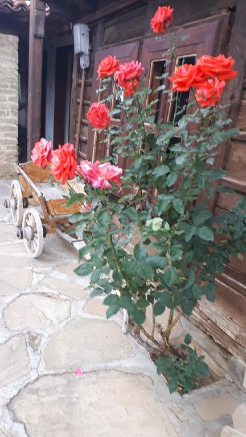 Къща за гости Зарковата къща - Снимка 9