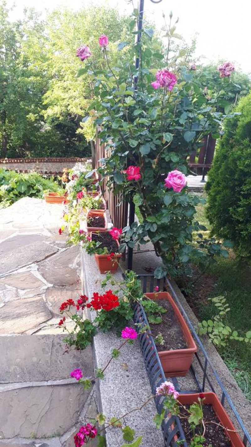 Къща за гости Зарковата къща - Снимка 7