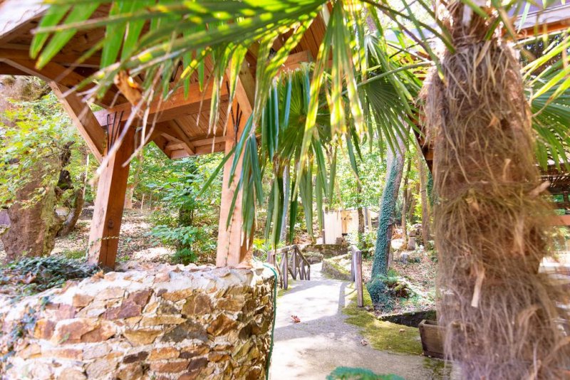 Хотел Света Неделя - Снимка 2