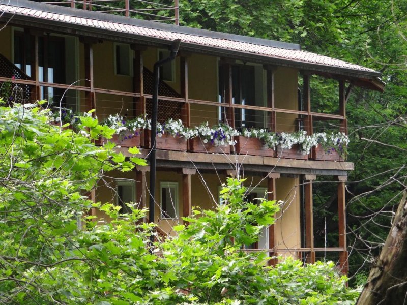 Хотел Света Неделя - Снимка 10