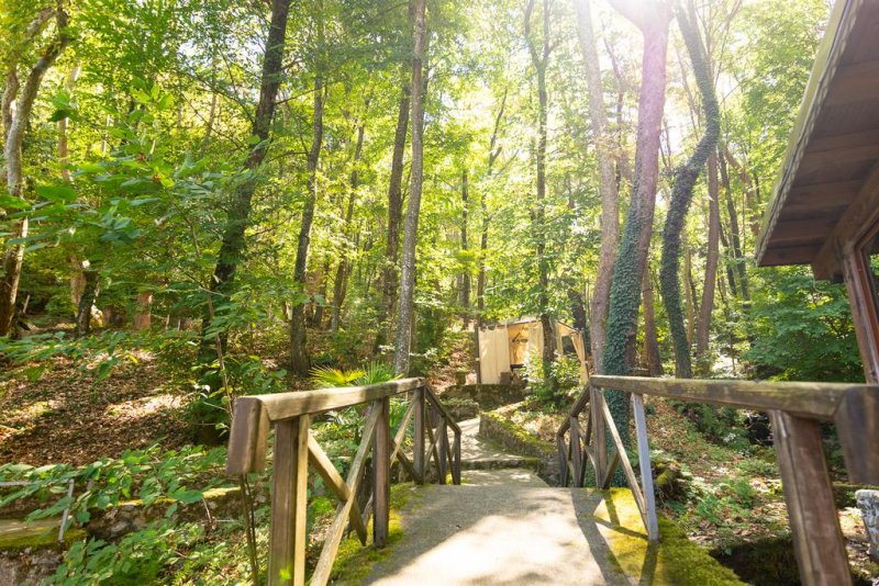 Хотел Света Неделя - Снимка 7