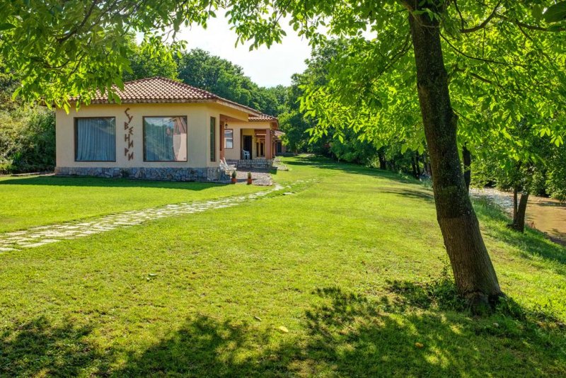 Вили Перперешка Река - Снимка 0