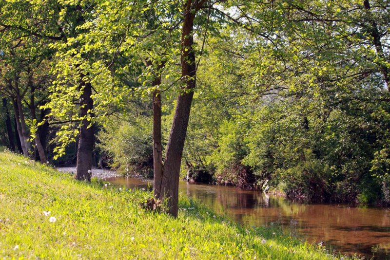 Вили Перперешка Река - Снимка 10