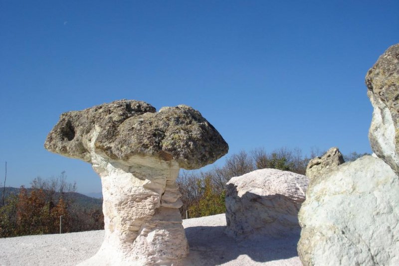 Вили Перперешка Река - Снимка 11