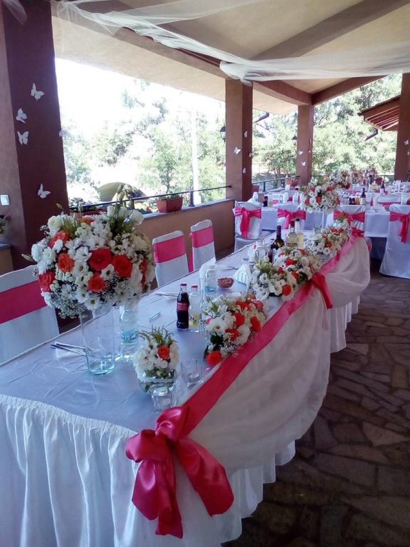 Вили Перперешка Река - Снимка 8