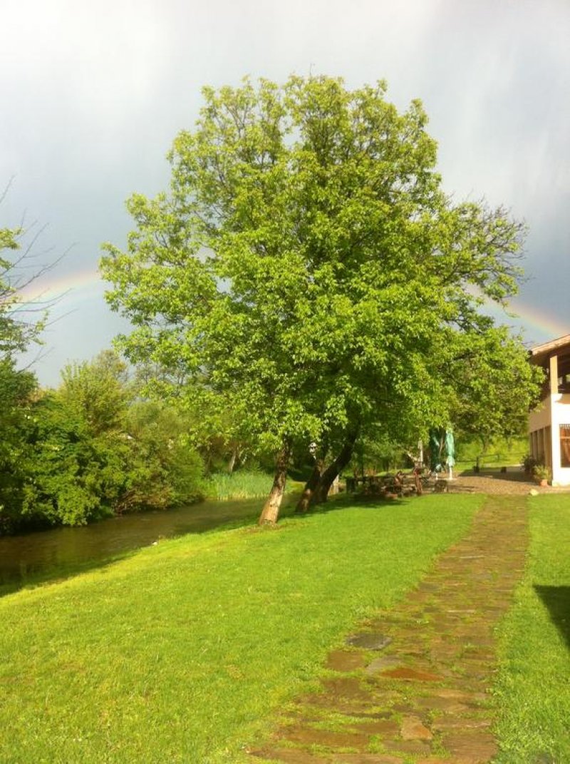 Вили Перперешка Река - Снимка 7