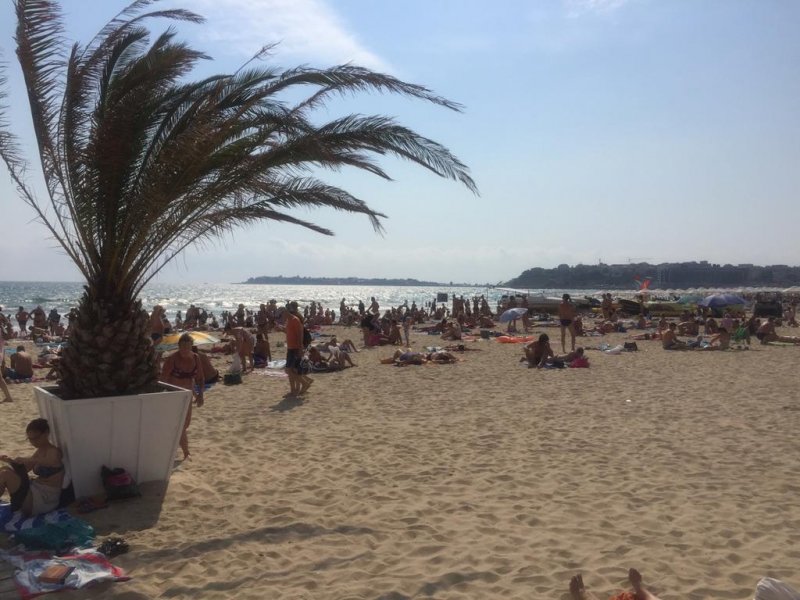 Апартхотел Палацо - Снимка 7