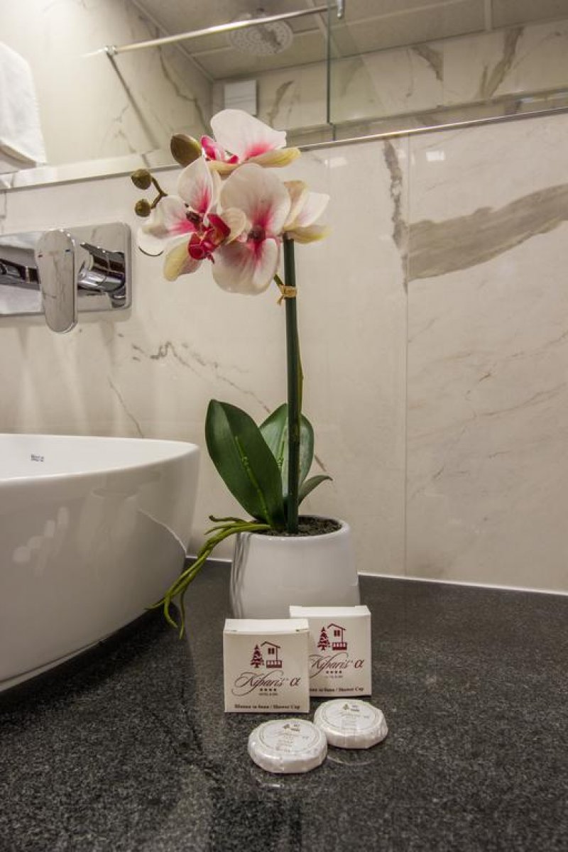 Хотел Кипарис Алфа - Снимка 9