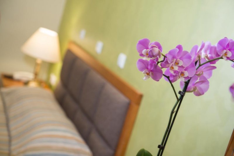 Hotel Aethria - Снимка 9