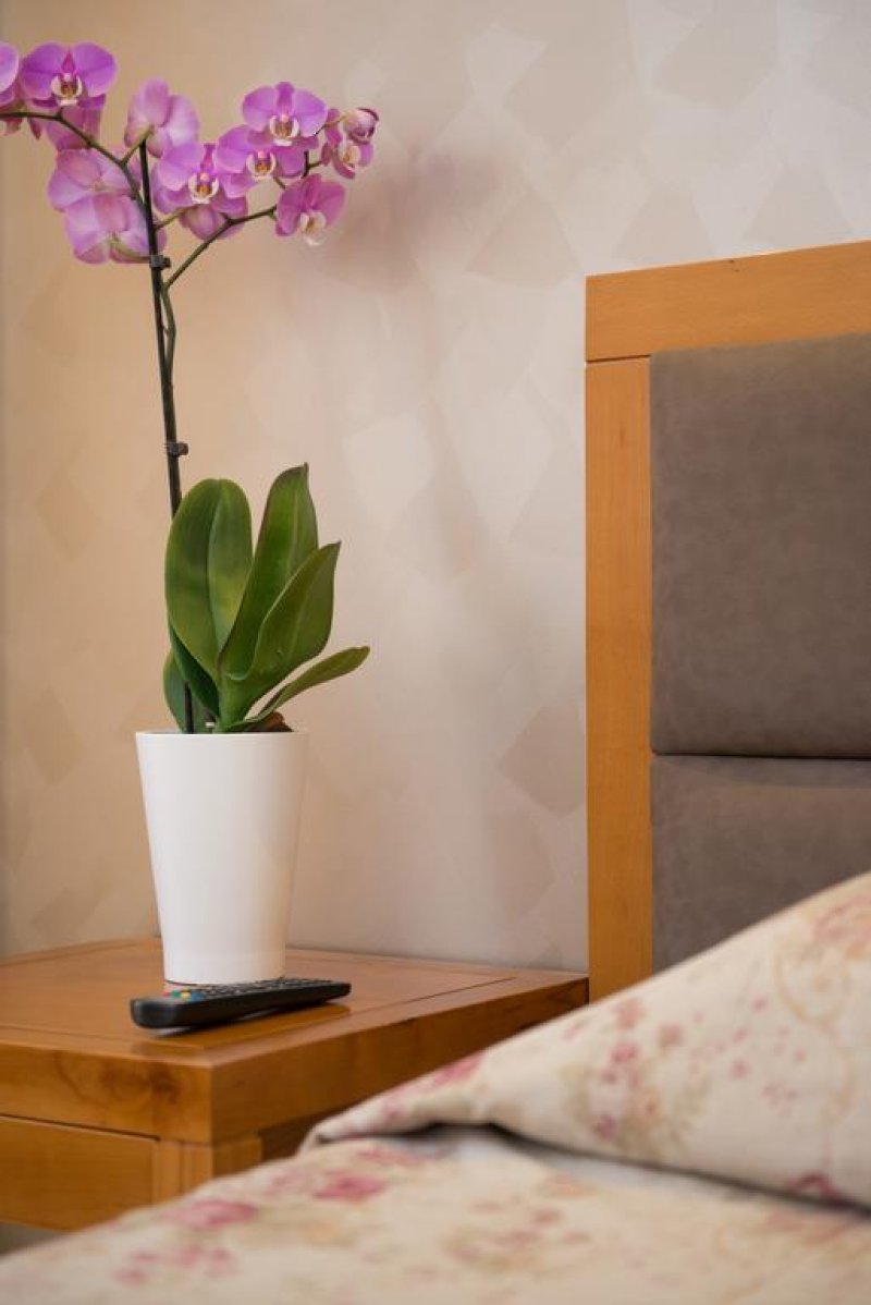 Hotel Aethria - Снимка 10