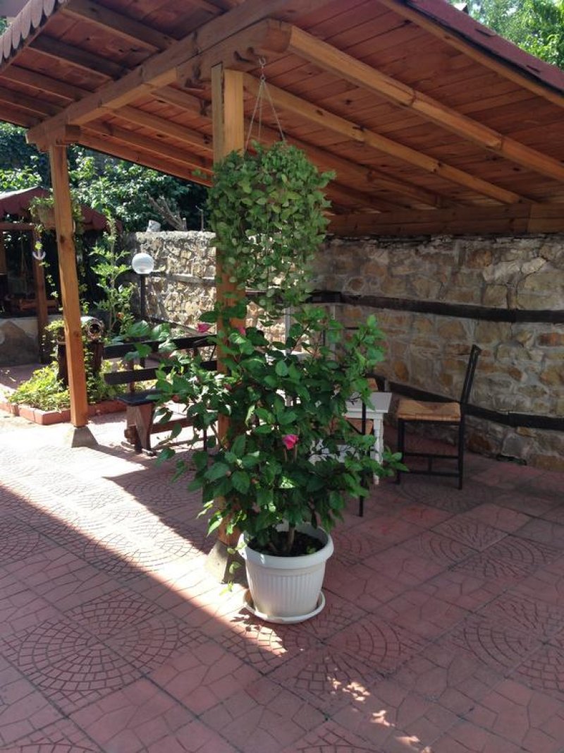 Хотел Биляна - Снимка 2