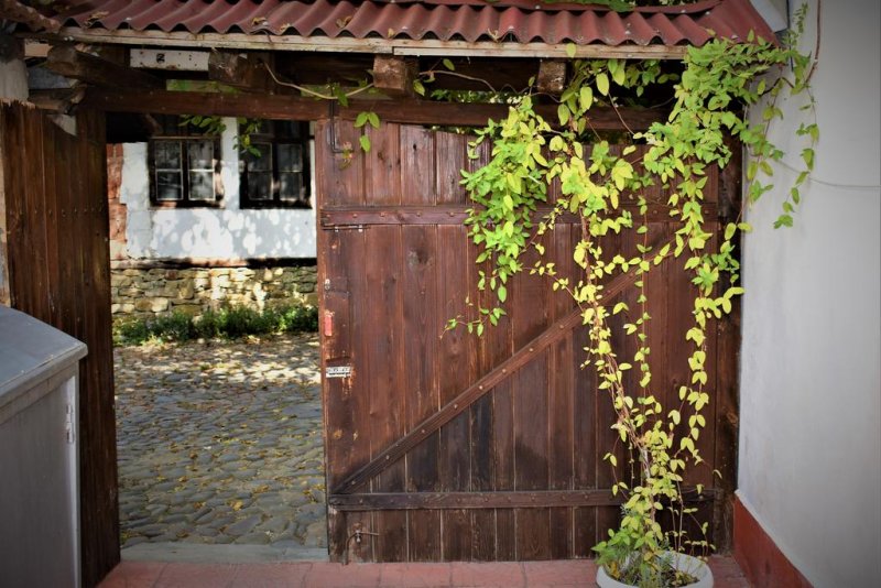 Хотел Биляна - Снимка 5