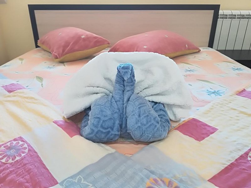 Къща за гости Наталия - Снимка 11