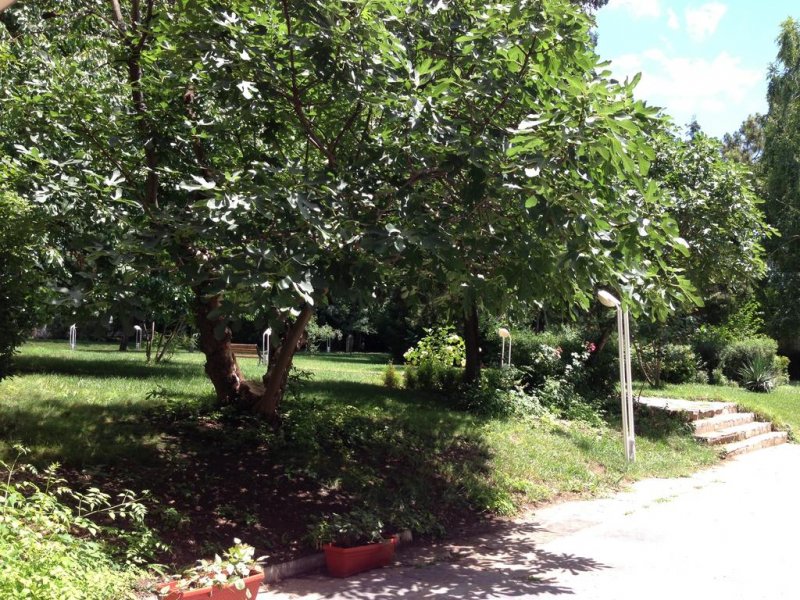 Парк Хотел Оазис - Снимка 3