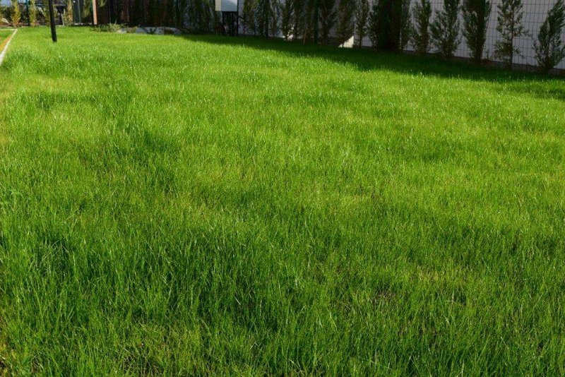 Чичо Томовата Колиба - Снимка 3