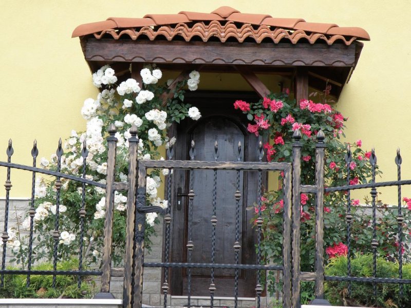 Апартаменти за гости Калоян - Снимка 1