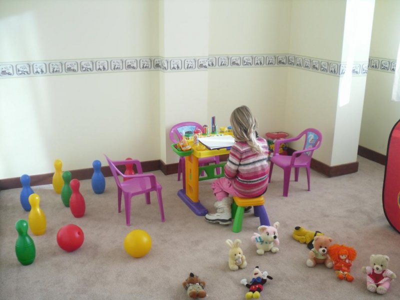 Хотел Бор - Снимка 2