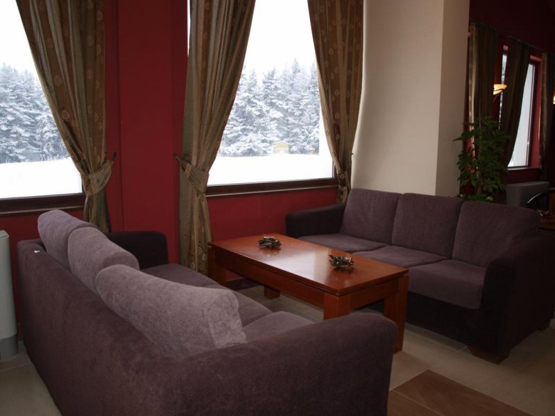 Хотел Бор - Снимка 4