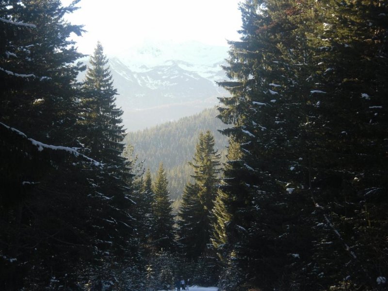 Хотел Бор - Снимка 10