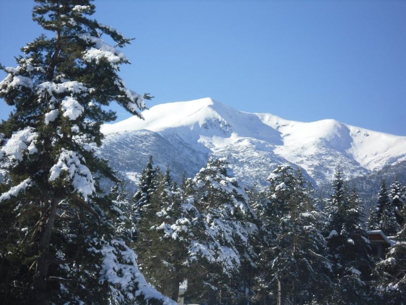 Хотел Бор - Снимка 11