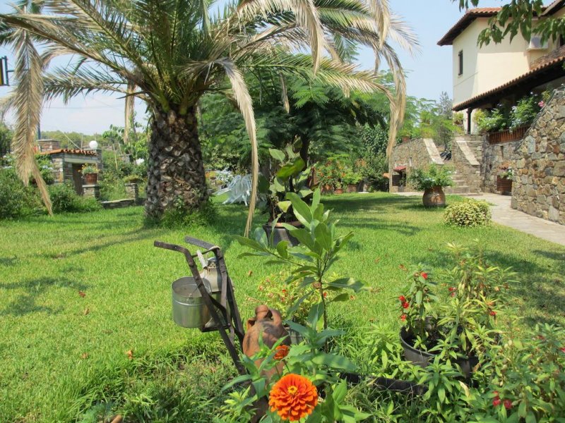 Studios Filio Sonia - Снимка 4