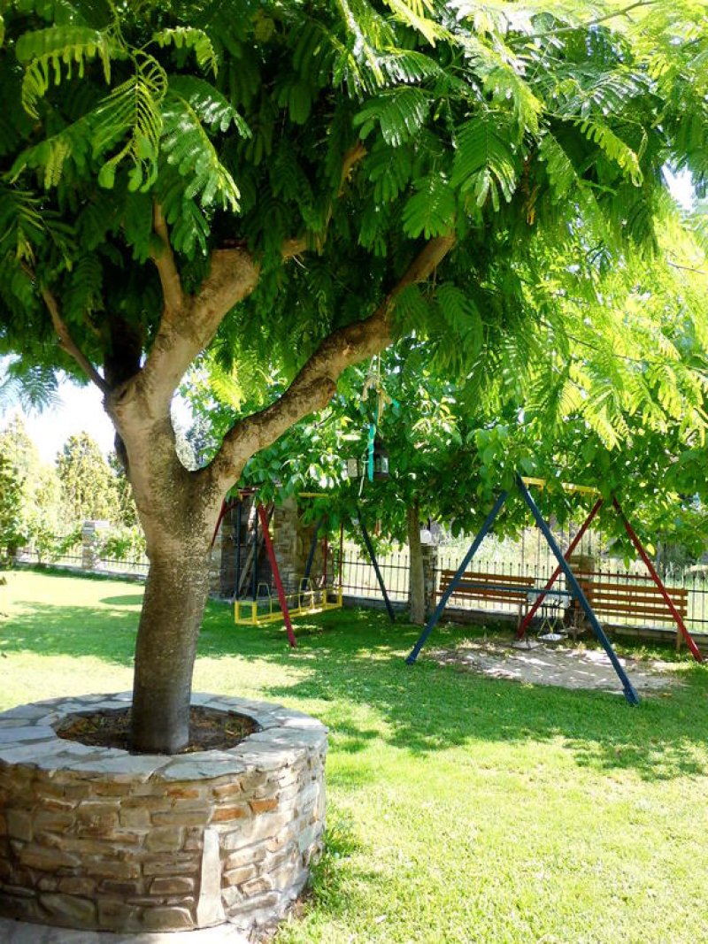 Studios Filio Sonia - Снимка 8