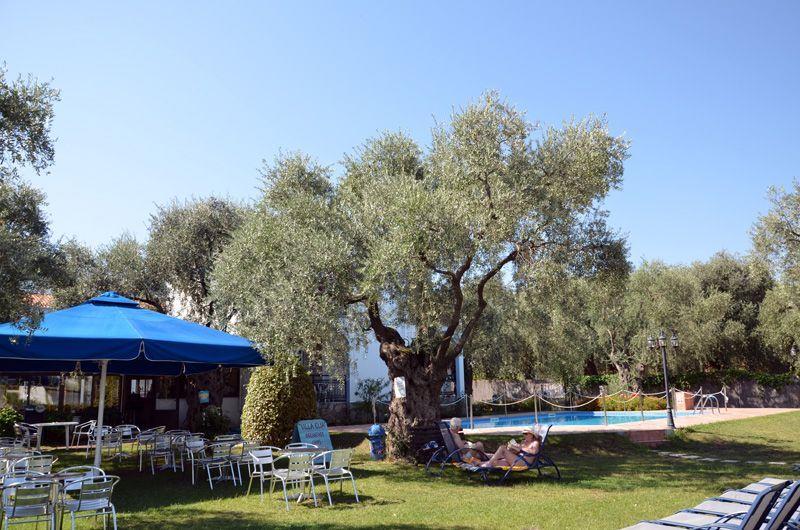 Villa Elia - Снимка 7