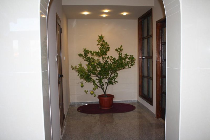 Хотел Марая - Снимка 11