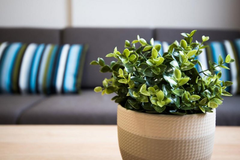 Хотел Корт Ин - Снимка 10