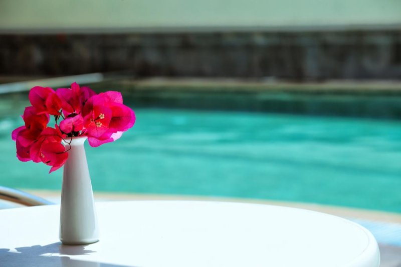 Elinotel Polis - Снимка 10