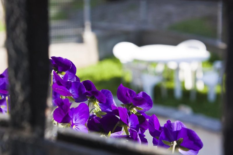 Къща Улпия - Снимка 8