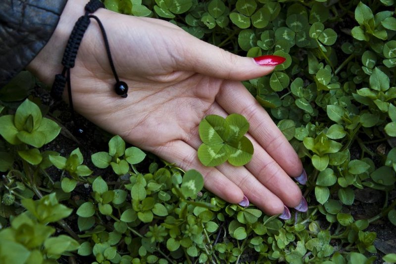 Къща Улпия - Снимка 3