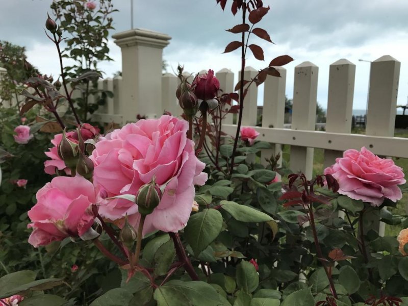 Апартхотел Вила Ливия - Снимка 9