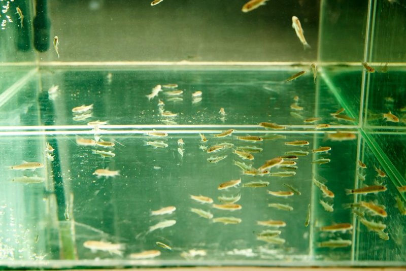 Ривърсайд Хотел & СПА - Снимка 5