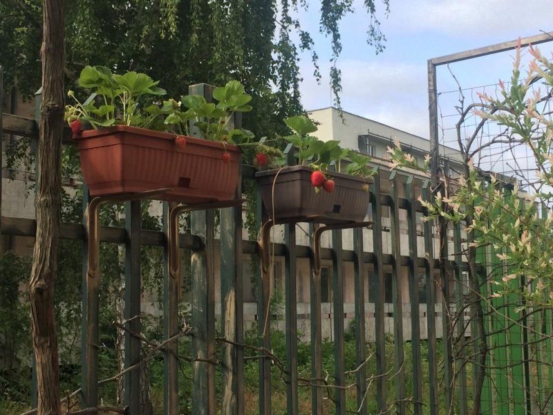 Къща за гости Ивано - Снимка 3