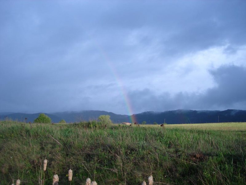 Комплекс Еко къщи Лещен - Снимка 3