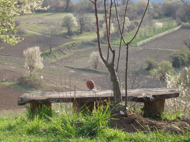 Комплекс Еко къщи Лещен - Снимка 9