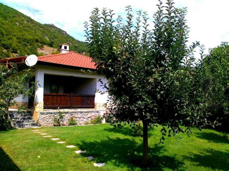 Вили Извора - Снимка 8