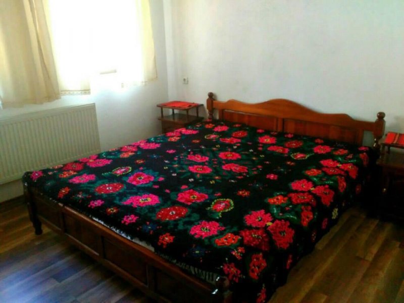 Вили Извора - Снимка 3