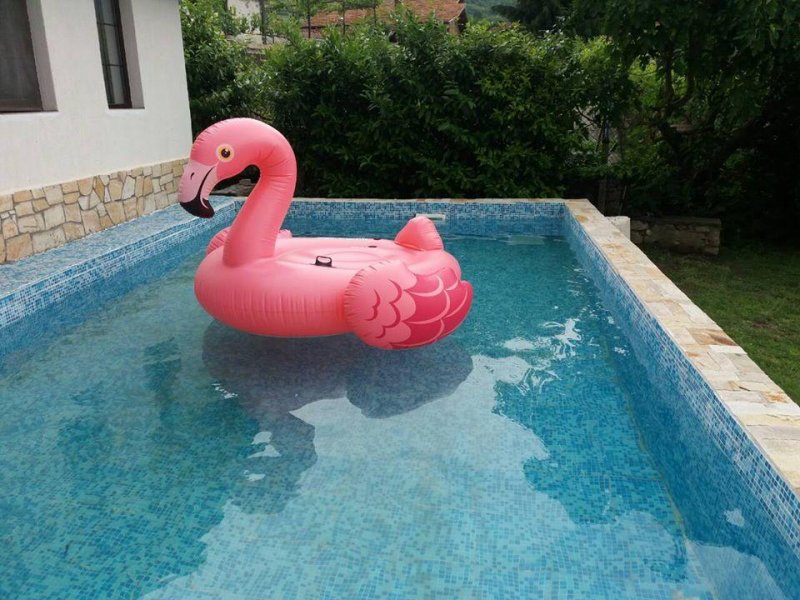 Вили Извора - Снимка 4