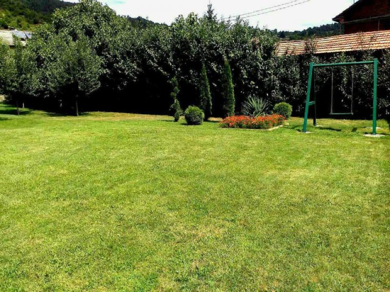 Вили Извора - Снимка 3