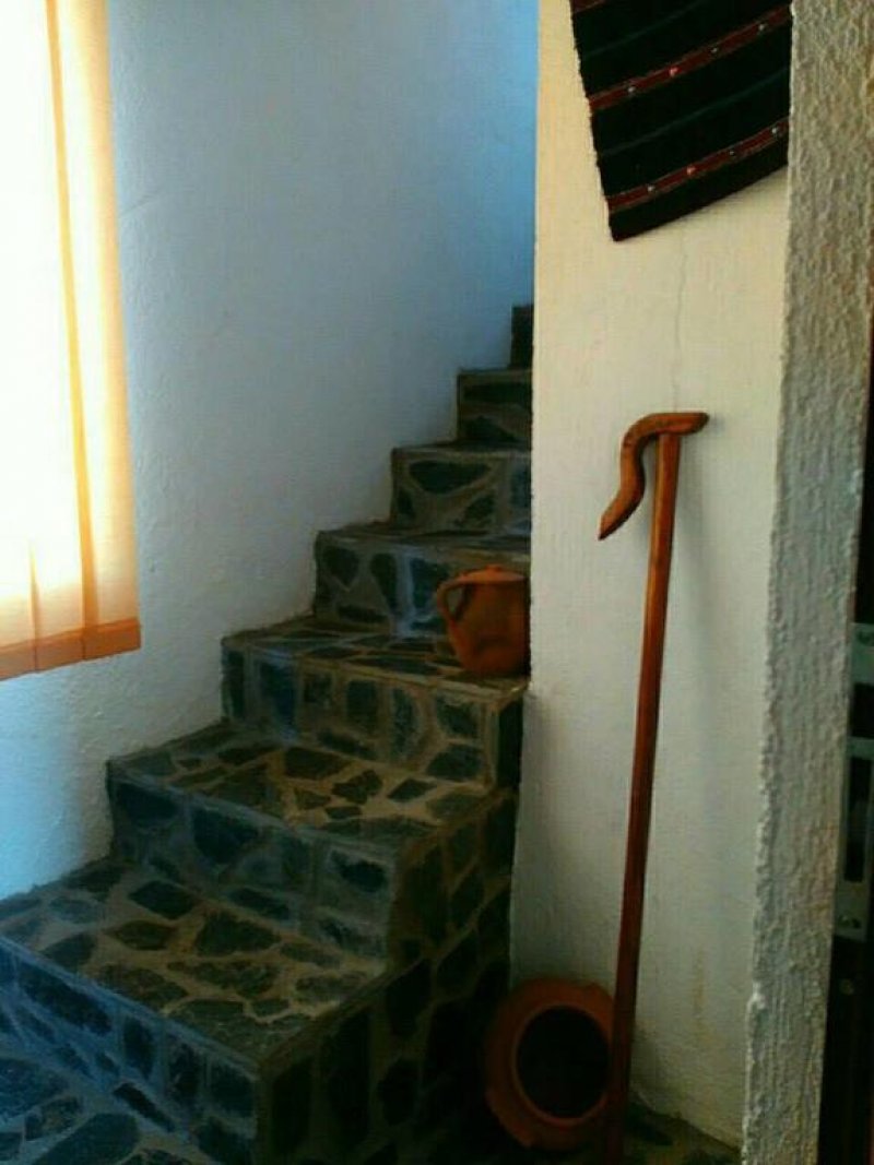 Вили Извора - Снимка 7