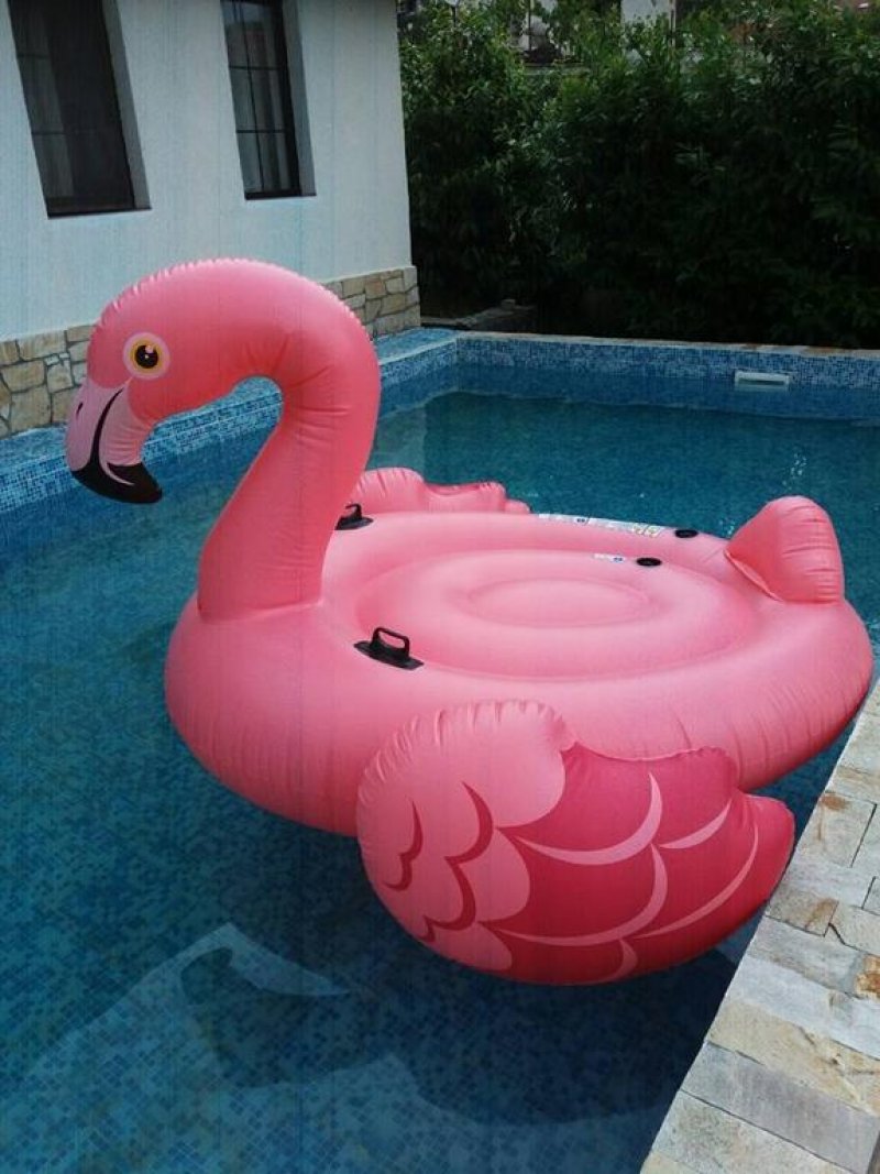 Вили Извора - Снимка 2