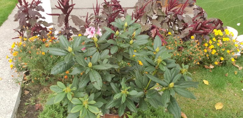 Къща за гости Кюркчиеви - Снимка 7