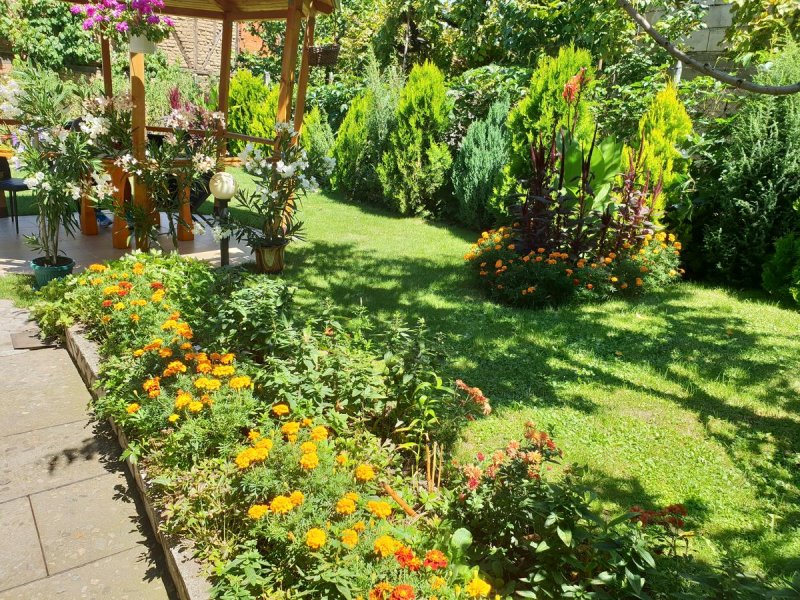 Къща за гости Кюркчиеви - Снимка 10