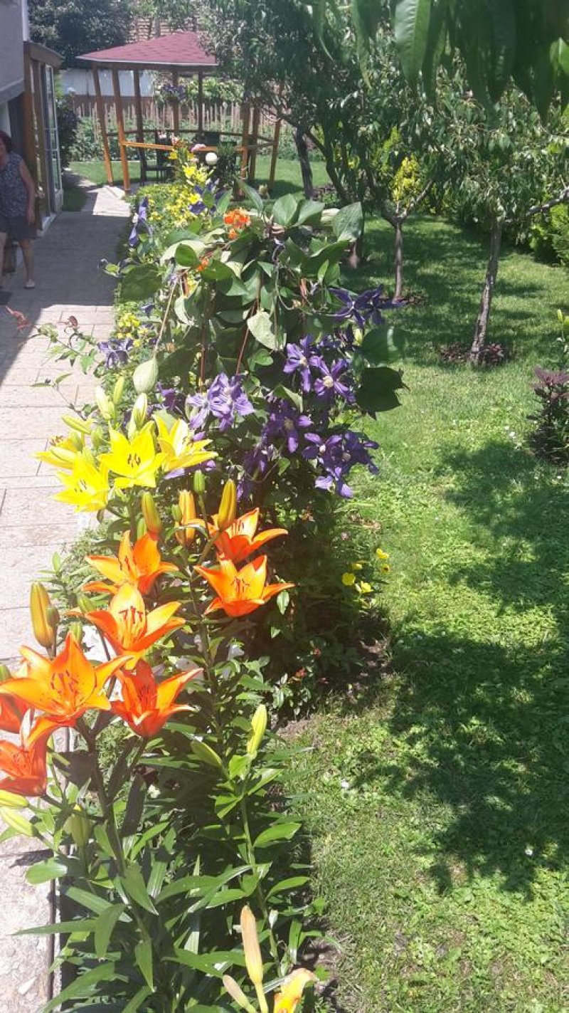 Къща за гости Кюркчиеви - Снимка 5