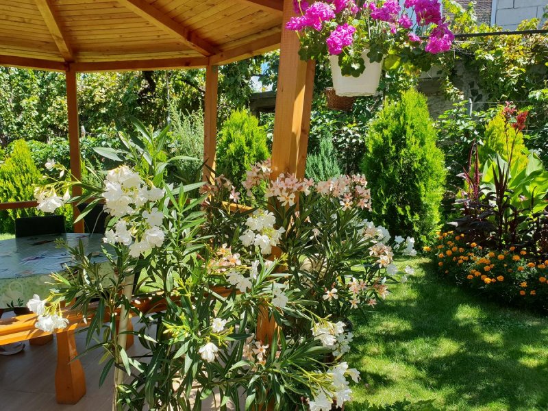 Къща за гости Кюркчиеви - Снимка 2