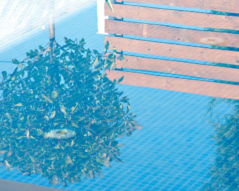 The Oak Hotel - Снимка 1