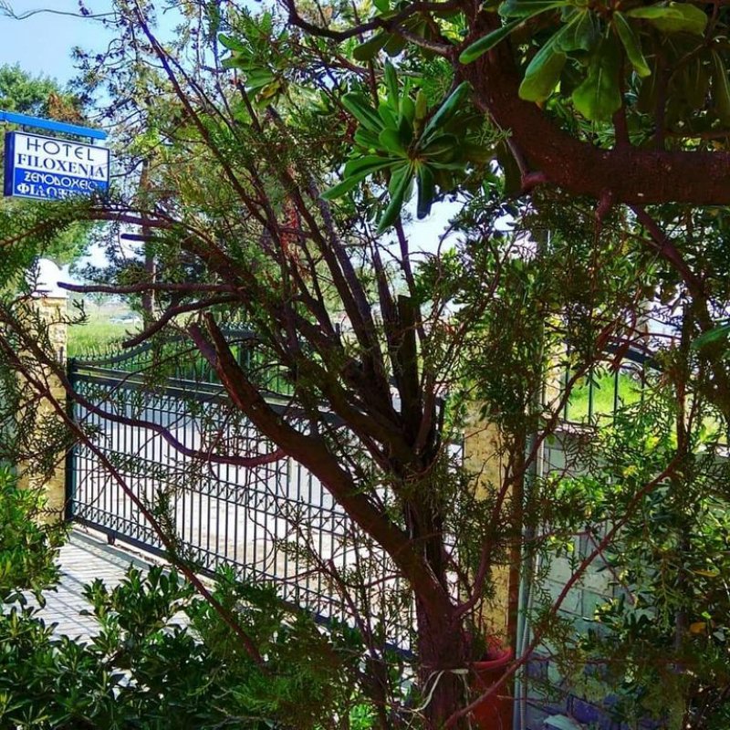 Hotel Filoxenia - Снимка 9
