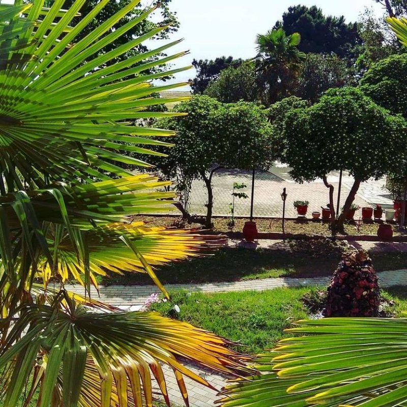 Hotel Filoxenia - Снимка 11